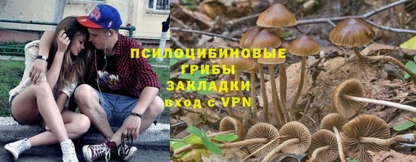 бутират Алексеевка