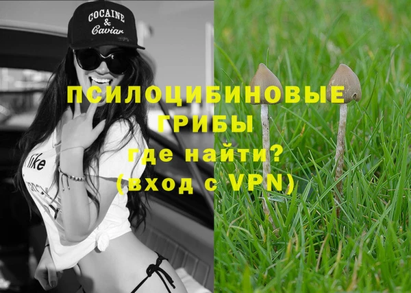 стафф Армянск